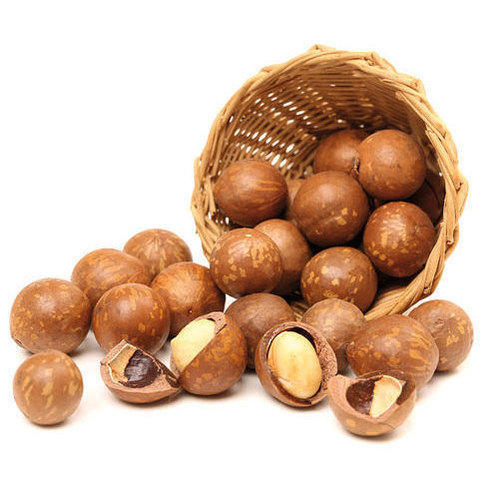Macadamia-Nuts.jpg