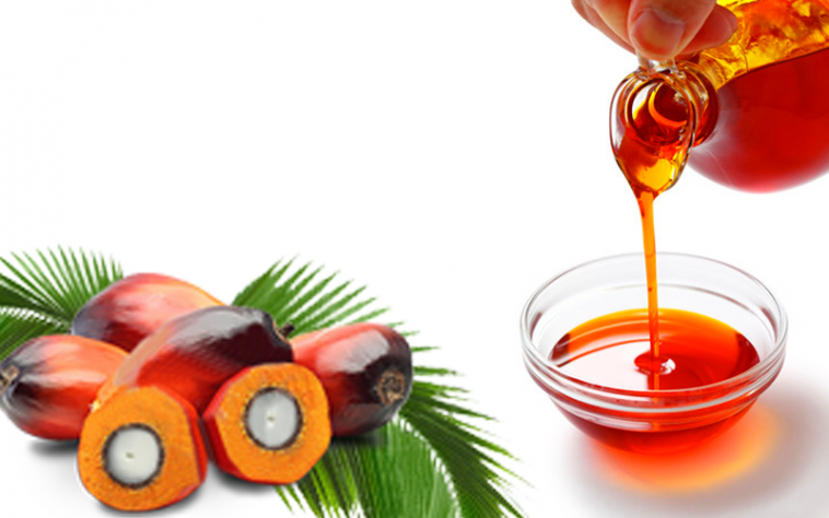Palm-Oil-758x474-1.png