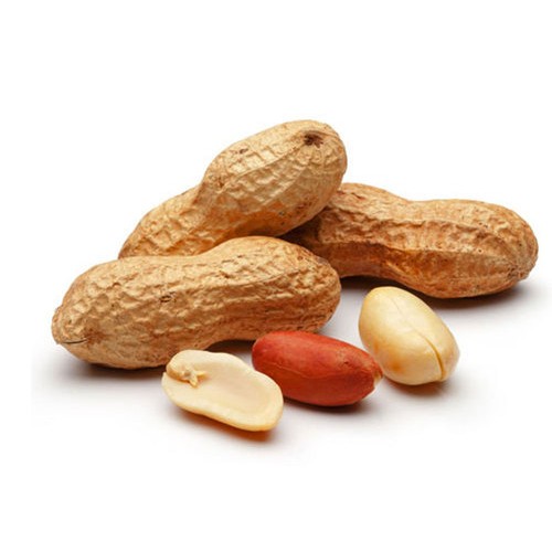 Peanut-Groundnut.jpg