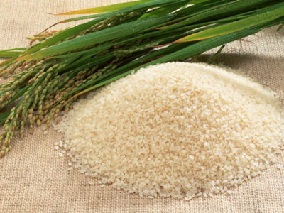 Use-of-rice-in-Vietnam.jpg
