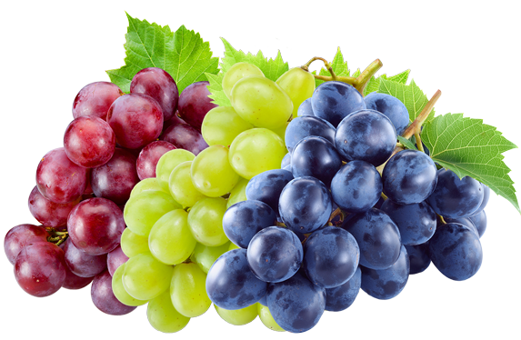 p-l-grapes_bunch.png