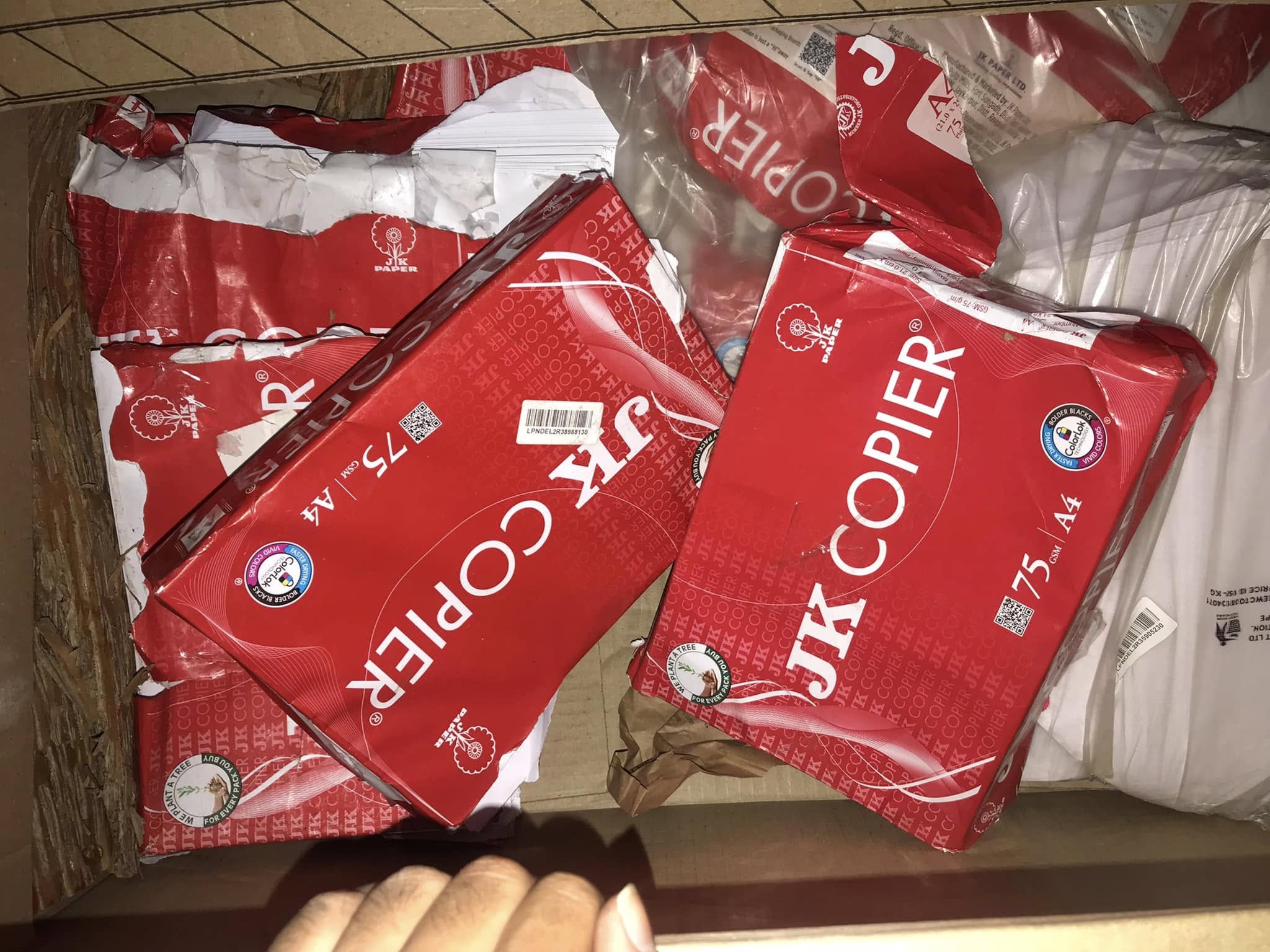 480273701_10221360611683510_7292407907946817790_n