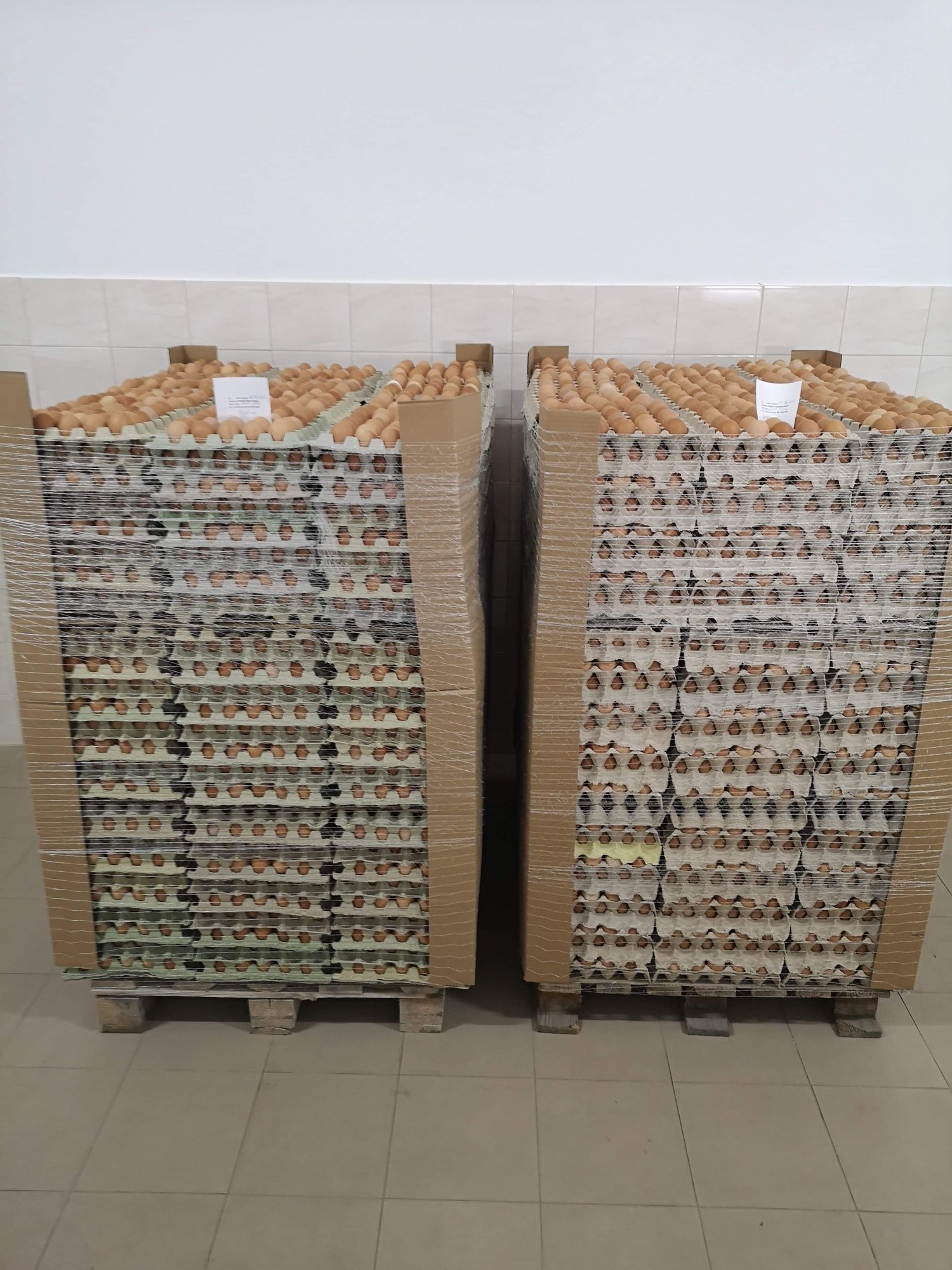 468781634_122199607838183100_1990564233227420281_n