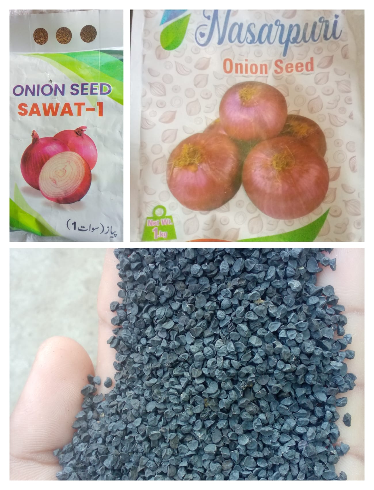 474474334_122151844076329071_2961852283648064984_n