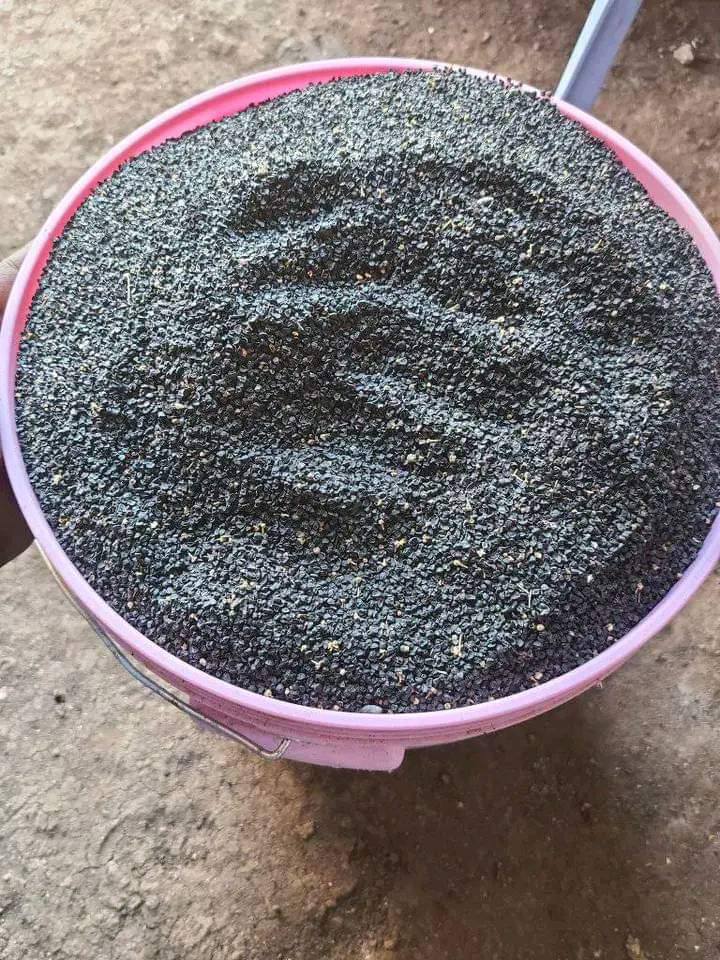 481947698_1371412794033737_8496608149359616675_n