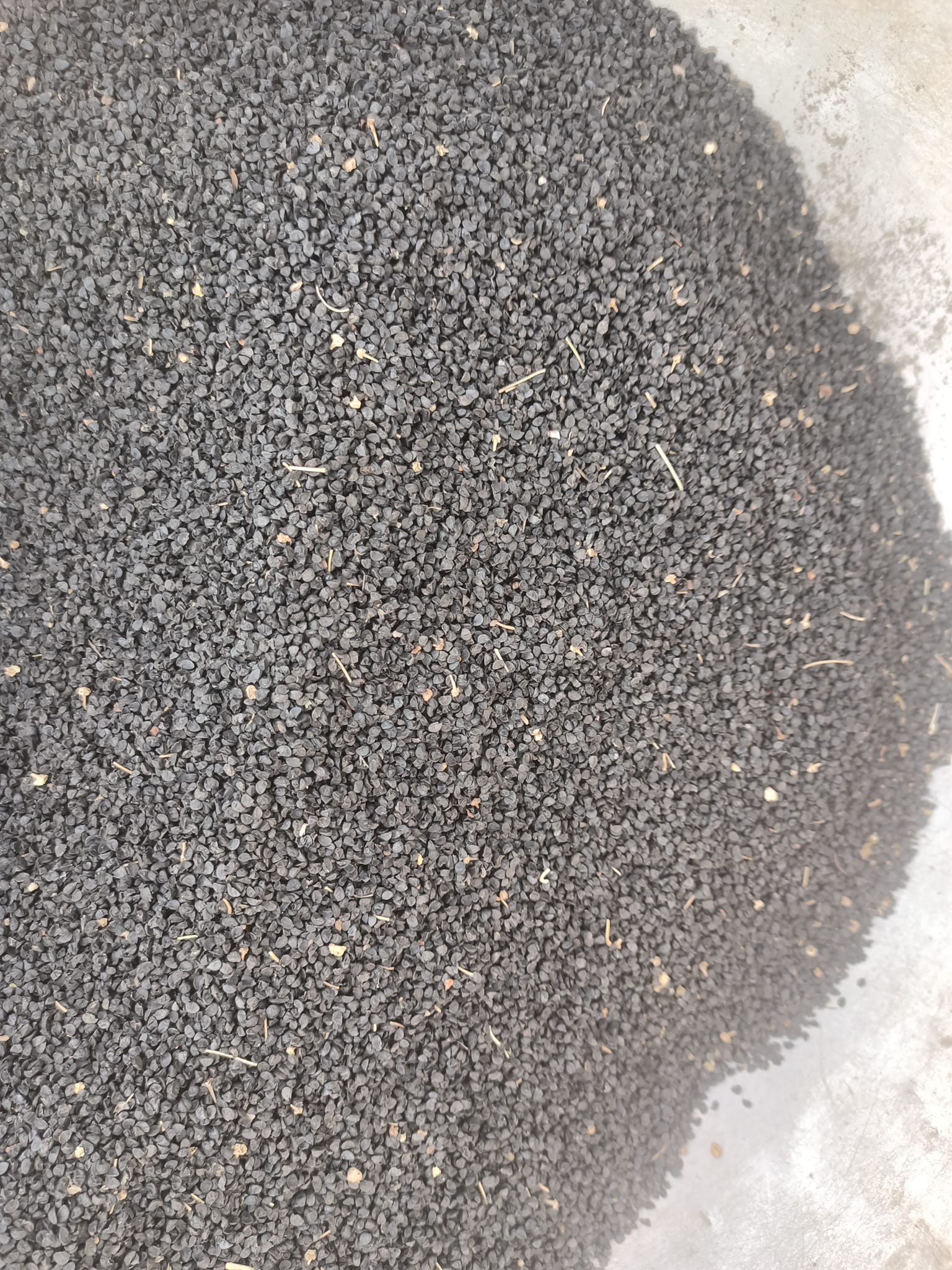 490588619_2144053112724461_2229029792637330635_n